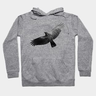 Crow Hoodie